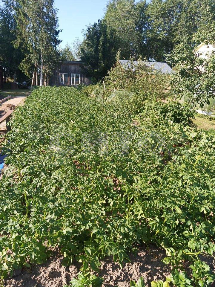 Продажа дачи, 49м <sup>2</sup>, 9 сот., Москва Продажа дачи, 49м <sup>2</sup>, 9 сот., Москва