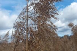 Дом вблизи озера