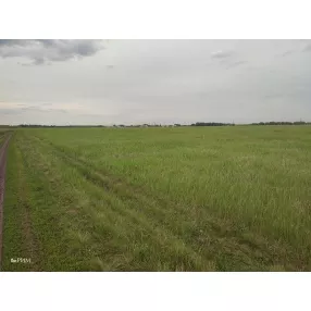 Коттедное поселение