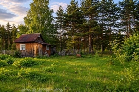 Участок 10 сот. (СНТ)